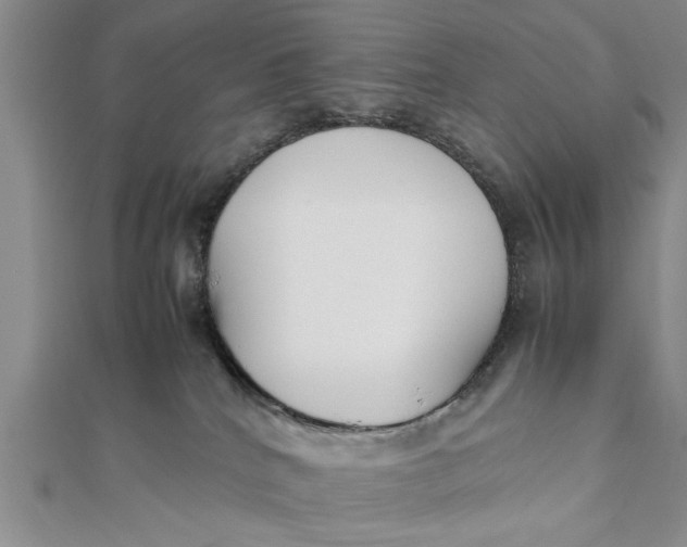 X0000112170040200908281349