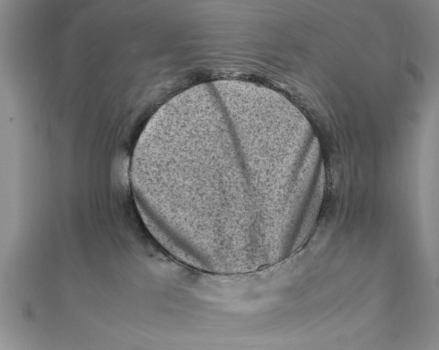 X0000112170041200908281349