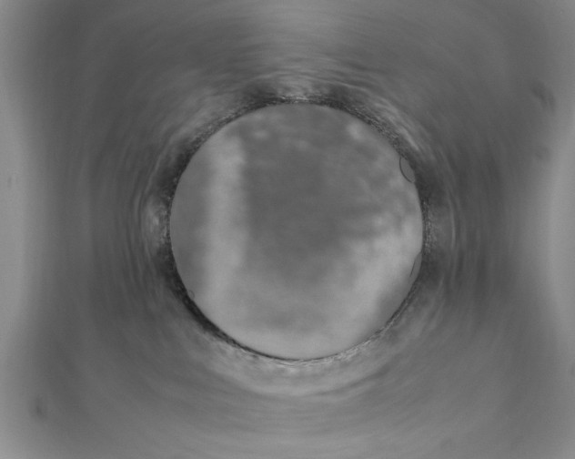 X0000112170043200908281349