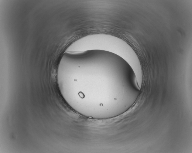 X0000112170045200908281349