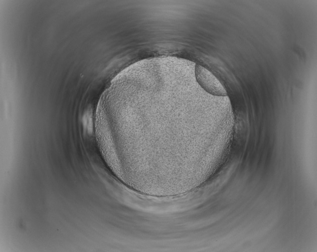 X0000112170046200908281349