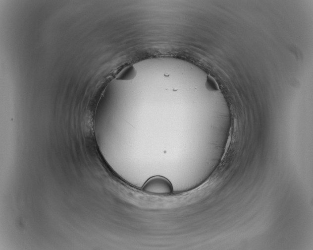 X0000112170048200908281349