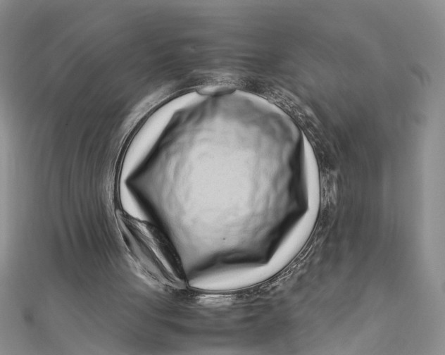 X0000112170051200908281348