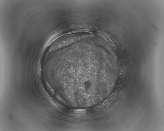 X0000112170053200908281348