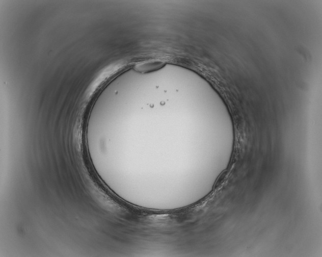 X0000112170054200908281348