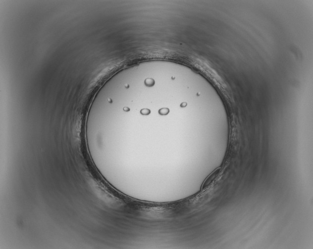 X0000112170058200908281348