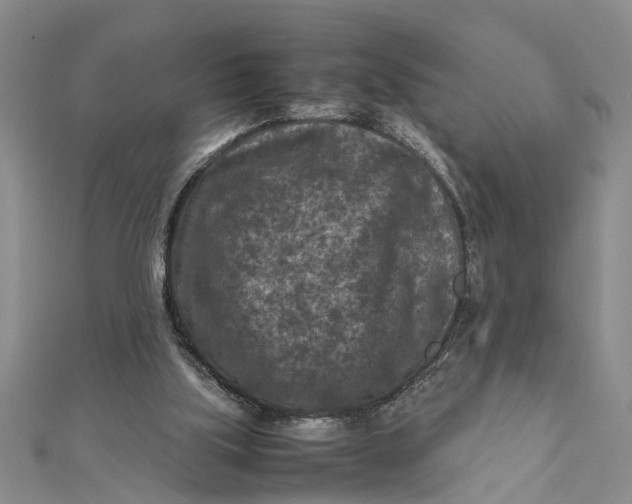 X0000112170059200908281348