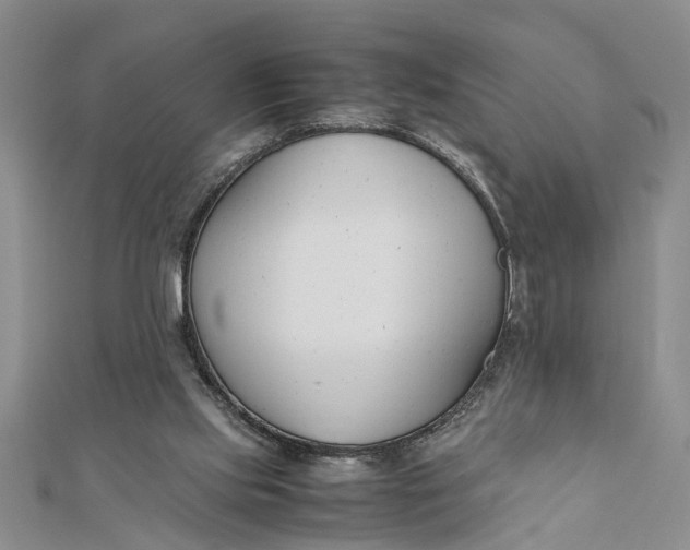 X0000112170061200908281348