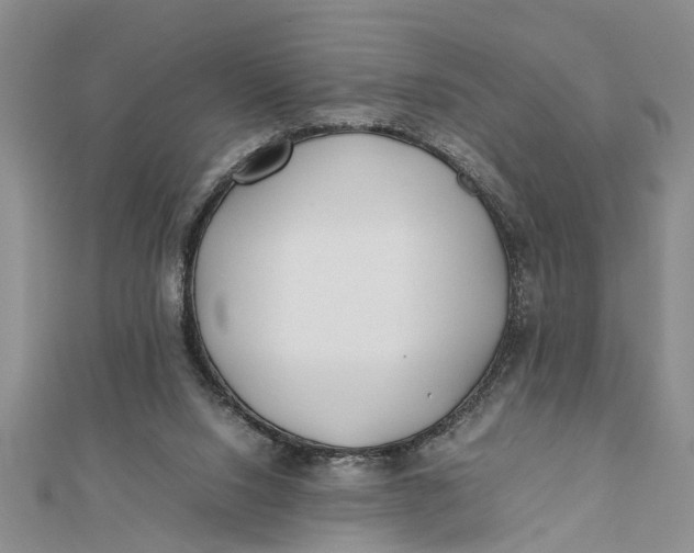 X0000112170064200908281348