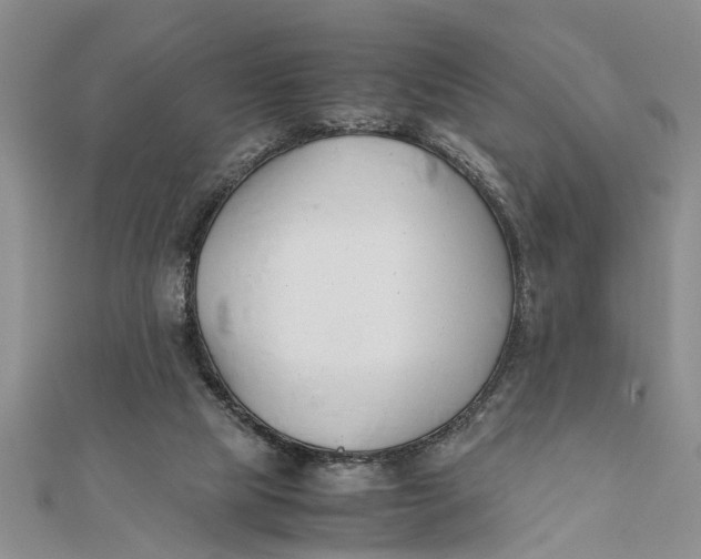 X0000112170065200908281348