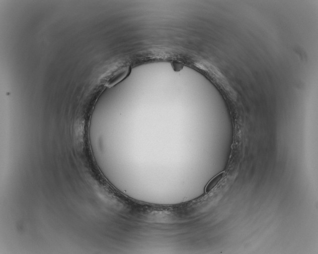 X0000112170066200908281348