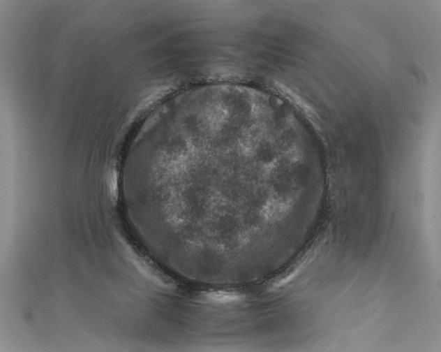 X0000112170067200908281348