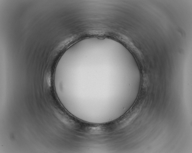 X0000112170068200908281348