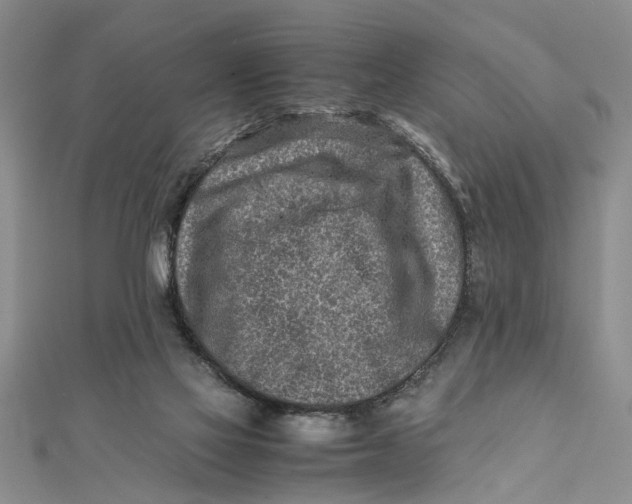 X0000112170069200908281348