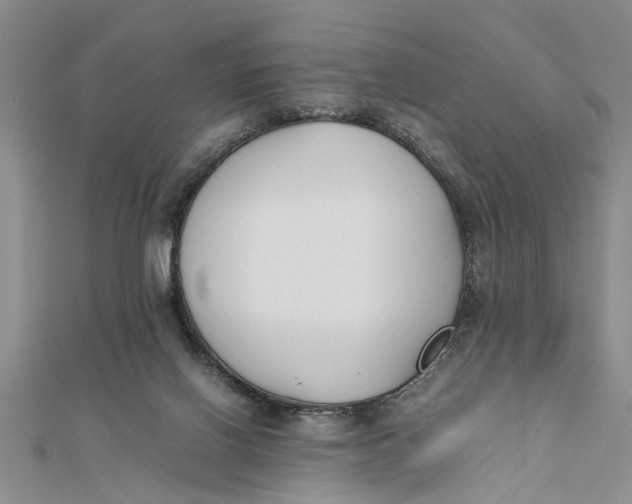 X0000112170070200908281348