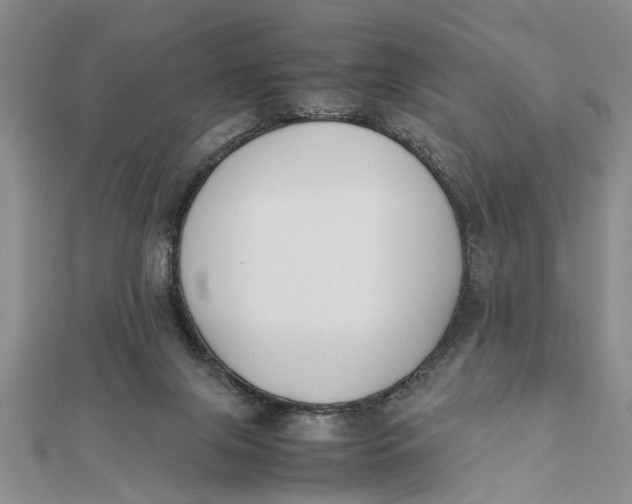 X0000112170071200908281348