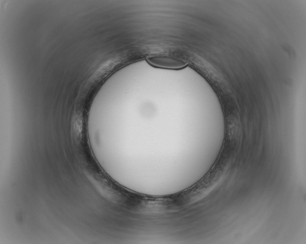 X0000112170072200908281348