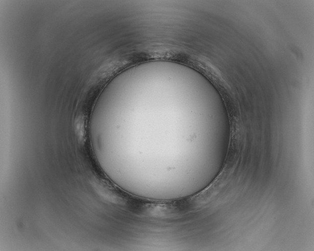 X0000112170074200908281348