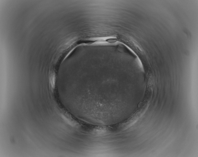 X0000112170076200908281348