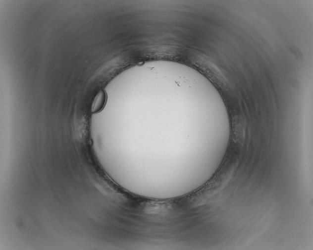 X0000112170077200908281348