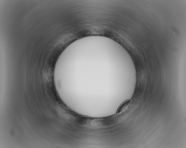 X0000112170078200908281348