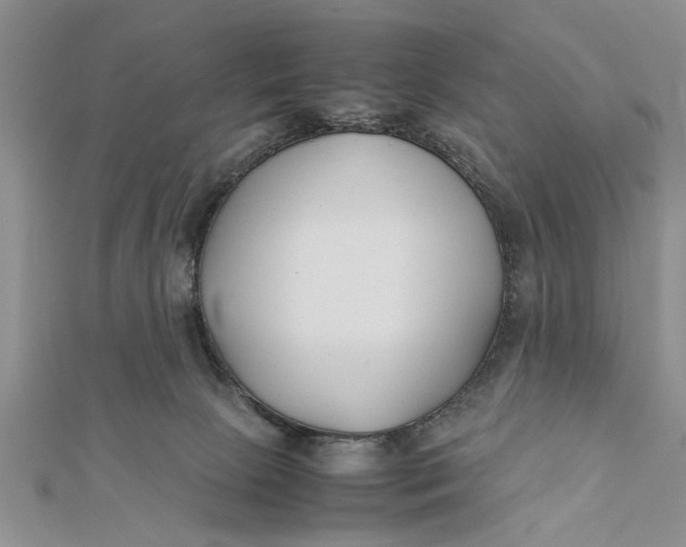 X0000112170081200908281348