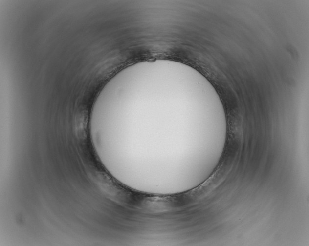 X0000112170082200908281348