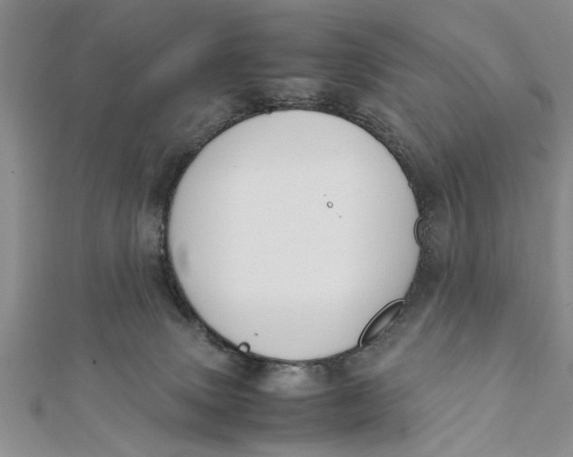 X0000112170083200908281348