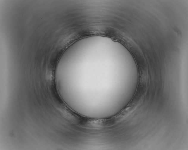 X0000112170084200908281348