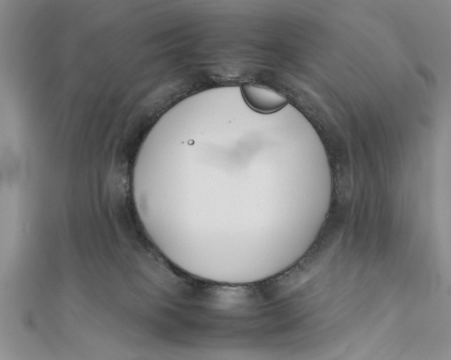 X0000112170085200908281348