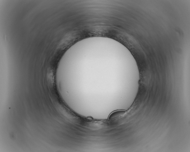 X0000112170086200908281348