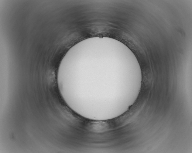 X0000112170087200908281348