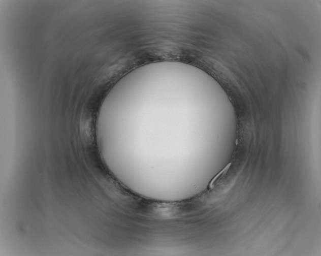 X0000112170088200908281348