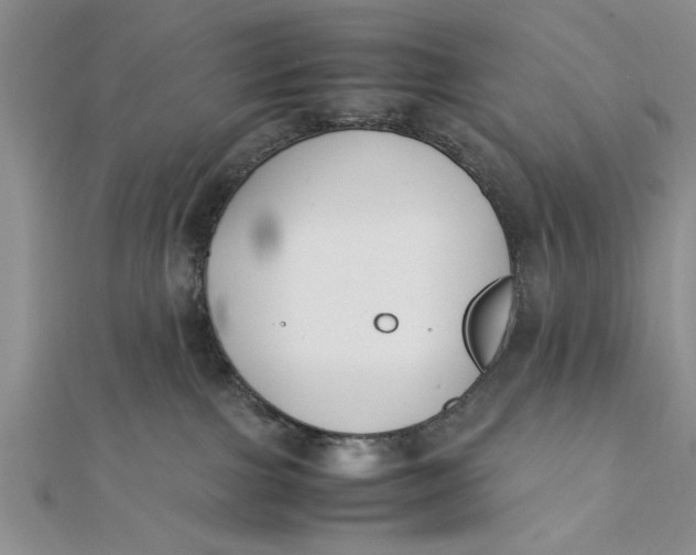 X0000112170091200908281348