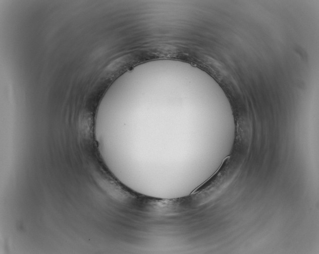 X0000112170092200908281348