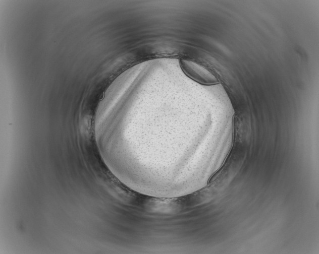 X0000112170093200908281348