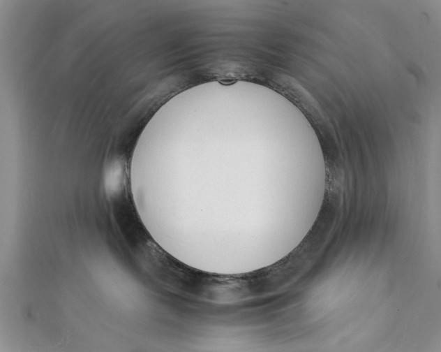 X0000112170095200908281349