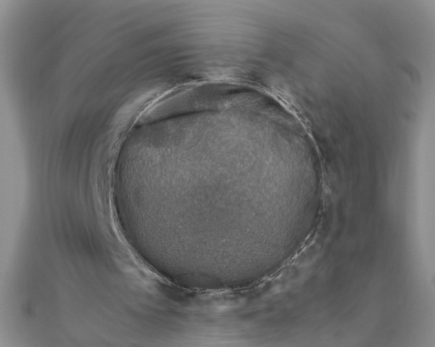 X0000112170097200908281348