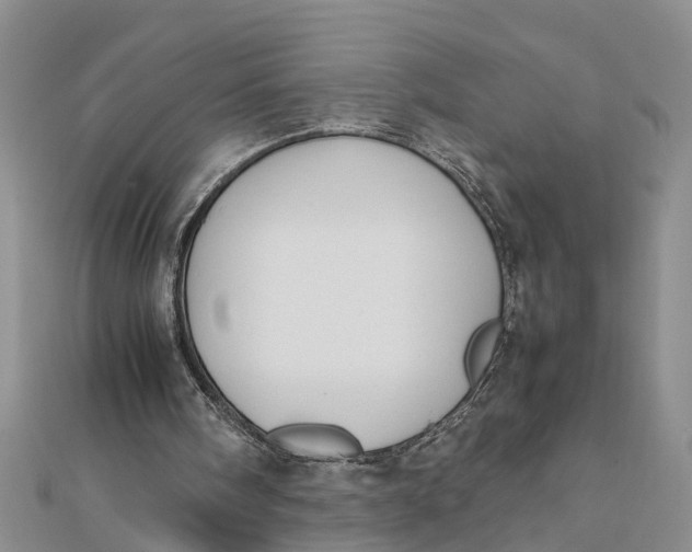 X0000112170098200908281348