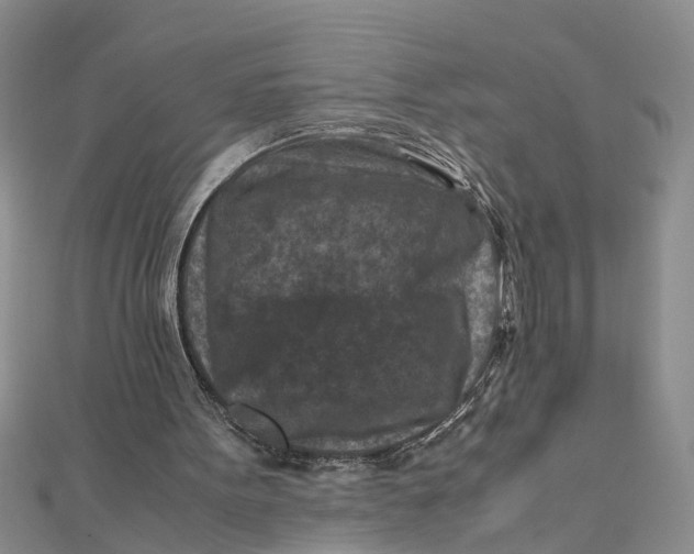 X0000112170099200908281348