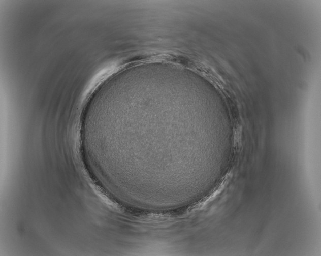 X0000112170101200908281348