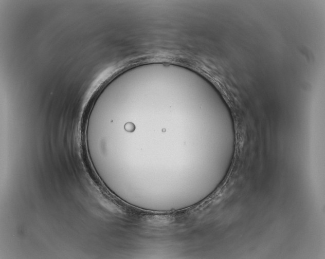 X0000112170102200908281348