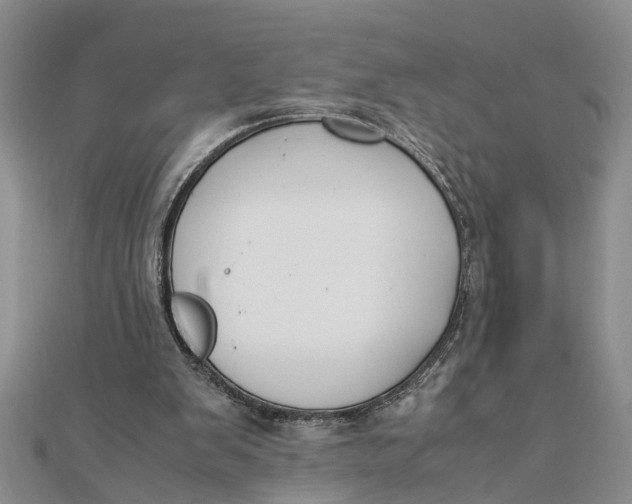 X0000112170103200908281348