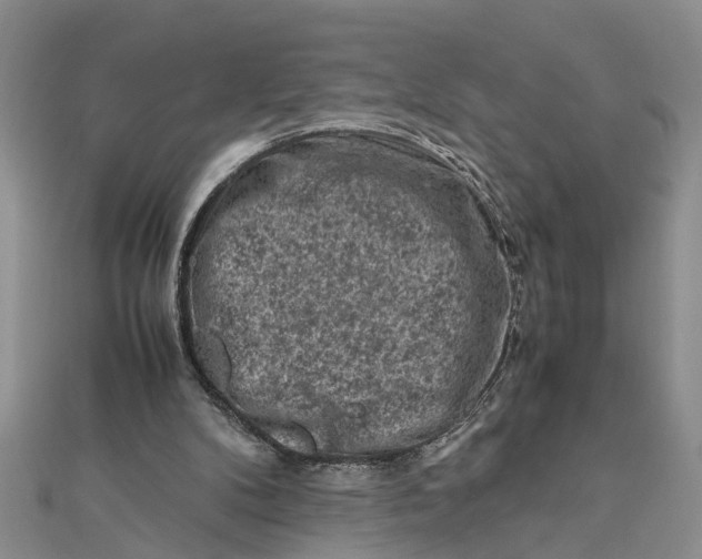 X0000112170104200908281348