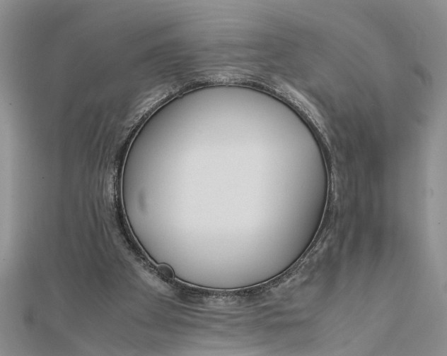 X0000112170105200908281348