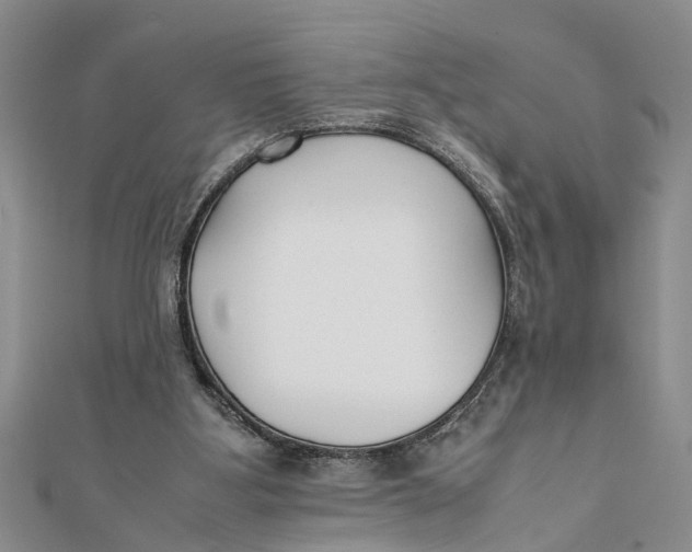 X0000112170107200908281348