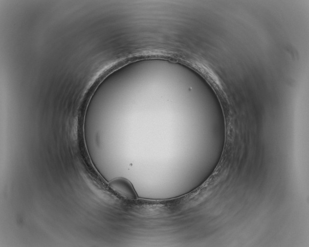 X0000112170108200908281348