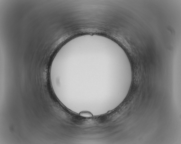 X0000112170111200908281348