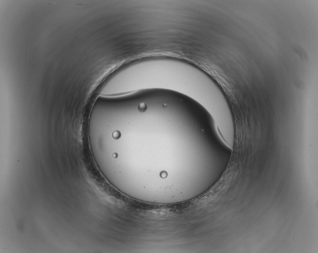 X0000112170112200908281348