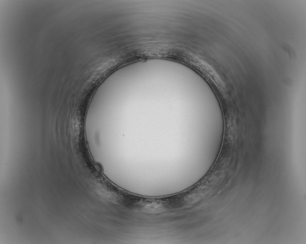 X0000112170113200908281348